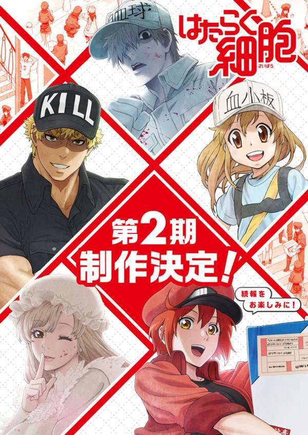 Hataraku Saibou 2. Sezon Geliyor